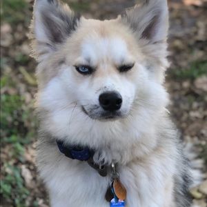 Meet your Posher, Holly